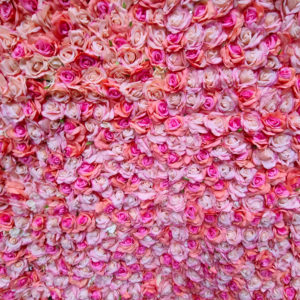 beautiful pink rose flower wall hire melbourne