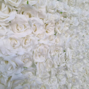 White Rose Flower Wall